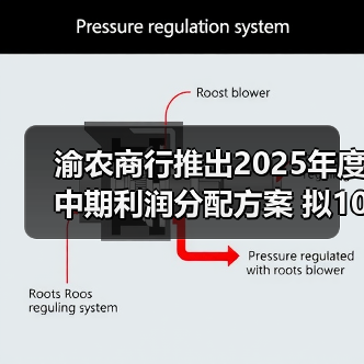 渝农商行推出2025年度中期利润分配方案 拟10派2.0336元（图4）