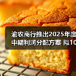 渝农商行推出2025年度中期利润分配方案 拟10派2.0336元（图3）
