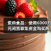 紫燕食品:使用6000万元闲置募集资金购买两款银行结构性存款(图2) 紫燕食品:使用6000万元闲置募集资金购买两款银行结构性存款(图2)