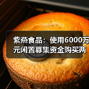 紫燕食品:使用6000万元闲置募集资金购买两款银行结构性存款(图1) 紫燕食品:使用6000万元闲置募集资金购买两款银行结构性存款(图1)