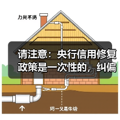 请注意：央行信用修复政策是一次性的，纠偏不可抗力下的“非恶意失信”（图4）