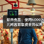 紫燕食品:使用6000万元闲置募集资金购买两款银行结构性存款(图4) 紫燕食品:使用6000万元闲置募集资金购买两款银行结构性存款(图4)
