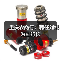 重庆农商行:聘任刘祎为副行长(图1) 重庆农商行:聘任刘祎为副行长(图1)