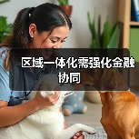 区域一体化需强化金融协同（图3）