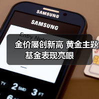 金价屡创新高 黄金主题基金表现亮眼(图1) 金价屡创新高 黄金主题基金表现亮眼(图1)