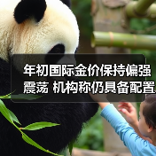 年初国际金价保持偏强震荡 机构称仍具备配置价值（图2）