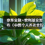 京东金融×宏利基金发布《中国个人养老金投资洞察报告》,全面解析投资前景(图2) 京东金融×宏利基金发布《中国个人养老金投资洞察报告》,全面解析投资前景(图2)