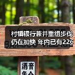 村镇银行兼并重组步伐仍在加快 年内已有226家村镇银行正式解散(图4) 村镇银行兼并重组步伐仍在加快 年内已有226家村镇银行正式解散(图4)