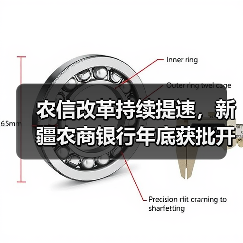 农信改革持续提速,新疆农商银行年底获批开业,年内至少七地省级银行登场(图3) 农信改革持续提速,新疆农商银行年底获批开业,年内至少七地省级银行登场(图3)