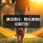 建设银行:聘任唐朔担任副行长(图4) 建设银行:聘任唐朔担任副行长(图4)