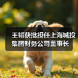 王韬获批担任上海城投集团财务公司董事长（图4）
