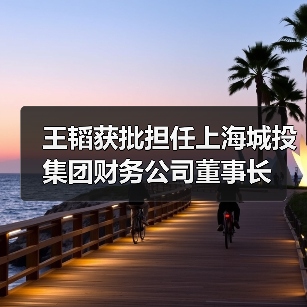 王韬获批担任上海城投集团财务公司董事长（图2）