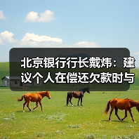 北京银行行长戴炜:建议个人在偿还欠款时与金融机构确认金额和还款状态(图3) 北京银行行长戴炜:建议个人在偿还欠款时与金融机构确认金额和还款状态(图3)