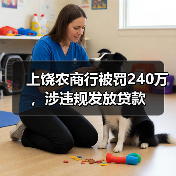 上饶农商行被罚240万,涉违规发放贷款(图2) 上饶农商行被罚240万,涉违规发放贷款(图2)