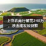 上饶农商行被罚240万,涉违规发放贷款(图3) 上饶农商行被罚240万,涉违规发放贷款(图3)