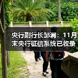 央行副行长邹澜：11月末央行征信系统已收录8.1亿自然人的信贷信息（图4）