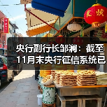 央行副行长邹澜：截至11月末央行征信系统已收录8.1亿自然人信贷信息（图3）
