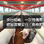 央行明确:一次性信用修复政策实行“免申即享”(图4) 央行明确:一次性信用修复政策实行“免申即享”(图4)