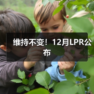 维持不变!12月LPR公布(图4) 维持不变!12月LPR公布(图4)