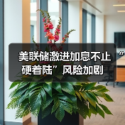 美联储激进加息不止 “硬着陆”风险加剧（图3）