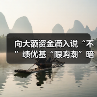 向大额资金涌入说“不”绩优基“限购潮”暗藏玄机(图4) 向大额资金涌入说“不”绩优基“限购潮”暗藏玄机(图4)