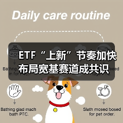 ETF“上新”节奏加快 布局宽基赛道成共识(图3) ETF“上新”节奏加快 布局宽基赛道成共识(图3)