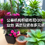 公募机构积极布局QDII业务 满足投资者多元资产配置需求(图2) 公募机构积极布局QDII业务 满足投资者多元资产配置需求(图2)