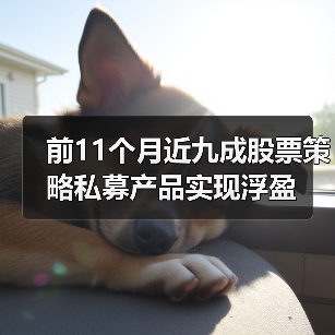 前11个月近九成股票策略私募产品实现浮盈(图3) 前11个月近九成股票策略私募产品实现浮盈(图3)