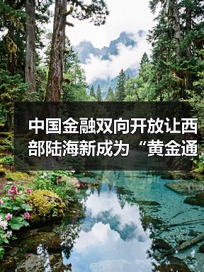 中国金融双向开放让西部陆海新成为“黄金通道”（图3）