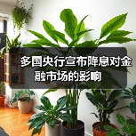多国央行宣布降息对金融市场的影响（图4）