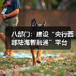 八部门:建设“央行西部陆海智融通”平台(图2) 八部门:建设“央行西部陆海智融通”平台(图2)