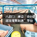八部门:建设“央行西部陆海智融通”平台(图4) 八部门:建设“央行西部陆海智融通”平台(图4)