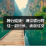 跨行提拔！建设银行聘任一副行长，此前任交通银行业务总监（图4）