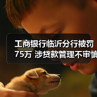 工商银行临沂分行被罚75万 涉贷款管理不审慎等(图3) 工商银行临沂分行被罚75万 涉贷款管理不审慎等(图3)