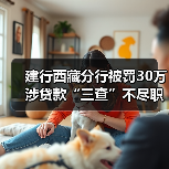 建行西藏分行被罚30万 涉贷款“三查”不尽职(图4) 建行西藏分行被罚30万 涉贷款“三查”不尽职(图4)