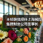 王韬获批担任上海城投集团财务公司董事长(图2) 王韬获批担任上海城投集团财务公司董事长(图2)