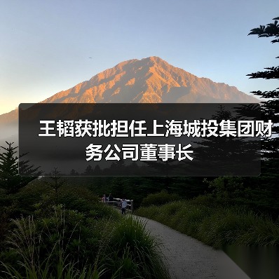 王韬获批担任上海城投集团财务公司董事长(图4) 王韬获批担任上海城投集团财务公司董事长(图4)