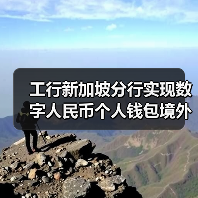 工行新加坡分行实现数字人民币个人钱包境外充值创新试点（图4）