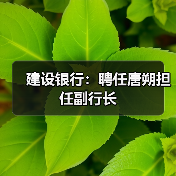 建设银行:聘任唐朔担任副行长(图2) 建设银行:聘任唐朔担任副行长(图2)