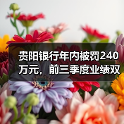 贵阳银行年内被罚240万元,前三季度业绩双降,不良率升至九年高位(图4) 贵阳银行年内被罚240万元,前三季度业绩双降,不良率升至九年高位(图4)