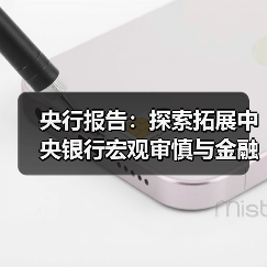 央行报告:探索拓展中央银行宏观审慎与金融稳定功能,创新金融工具(图3) 央行报告:探索拓展中央银行宏观审慎与金融稳定功能,创新金融工具(图3)