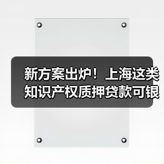 新方案出炉!上海这类知识产权质押贷款可银行内部评估定价(图2) 新方案出炉!上海这类知识产权质押贷款可银行内部评估定价(图2)