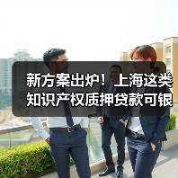 新方案出炉!上海这类知识产权质押贷款可银行内部评估定价(图4) 新方案出炉!上海这类知识产权质押贷款可银行内部评估定价(图4)