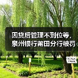 因贷后管理不到位等,泉州银行莆田分行被罚105万元(图4) 因贷后管理不到位等,泉州银行莆田分行被罚105万元(图4)