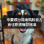 华夏银行首席风险官方宜任职资格获核准(图3) 华夏银行首席风险官方宜任职资格获核准(图3)