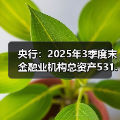 央行：2025年3季度末金融业机构总资产531.76万亿元（图3）