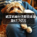 武汉农商行注册资本增至67.7亿元（图1）