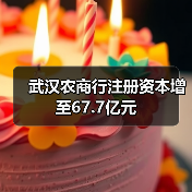 武汉农商行注册资本增至67.7亿元（图4）