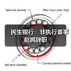 民生银行：非执行董事赵鹏辞职（图4）