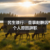 民生银行：董事赵鹏因个人原因辞职（图4）